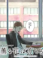 综艺热播